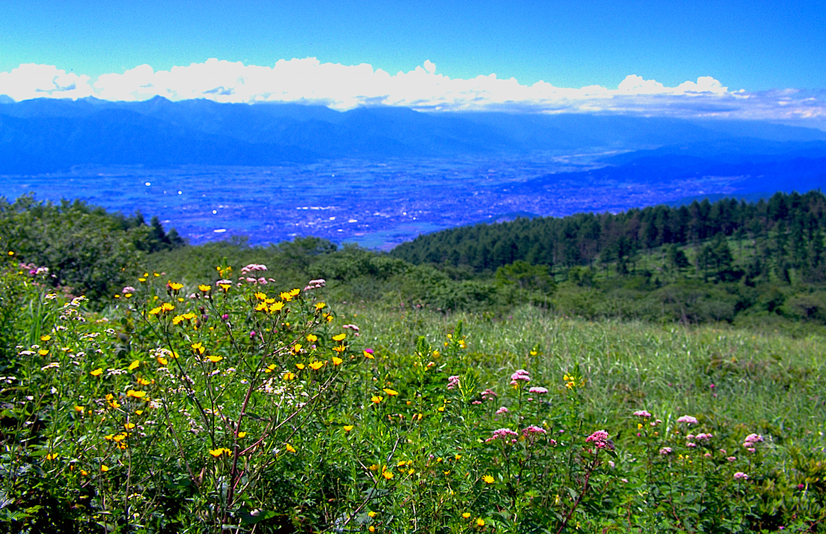 takaboccihight