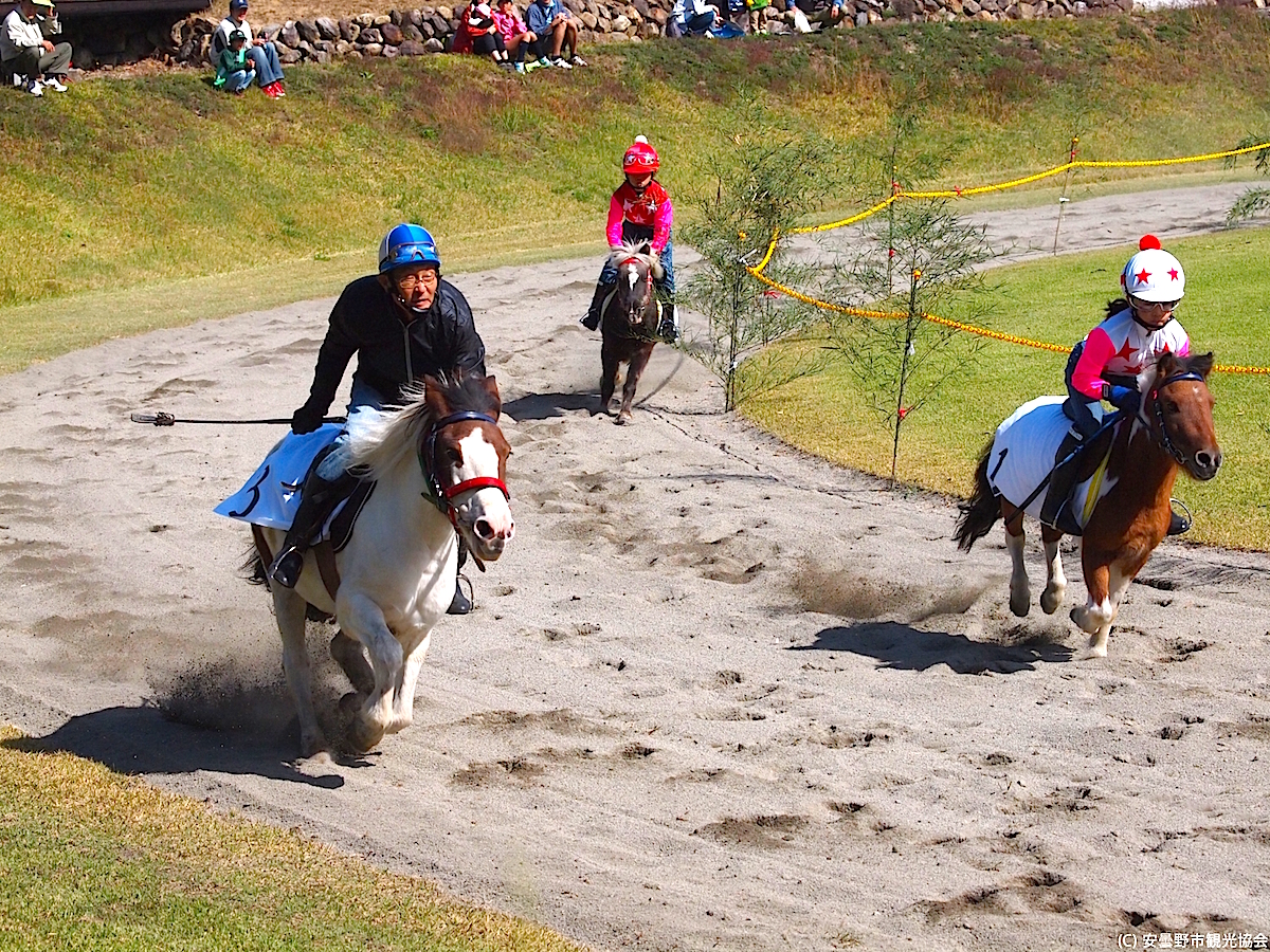 安曇野観光草競馬