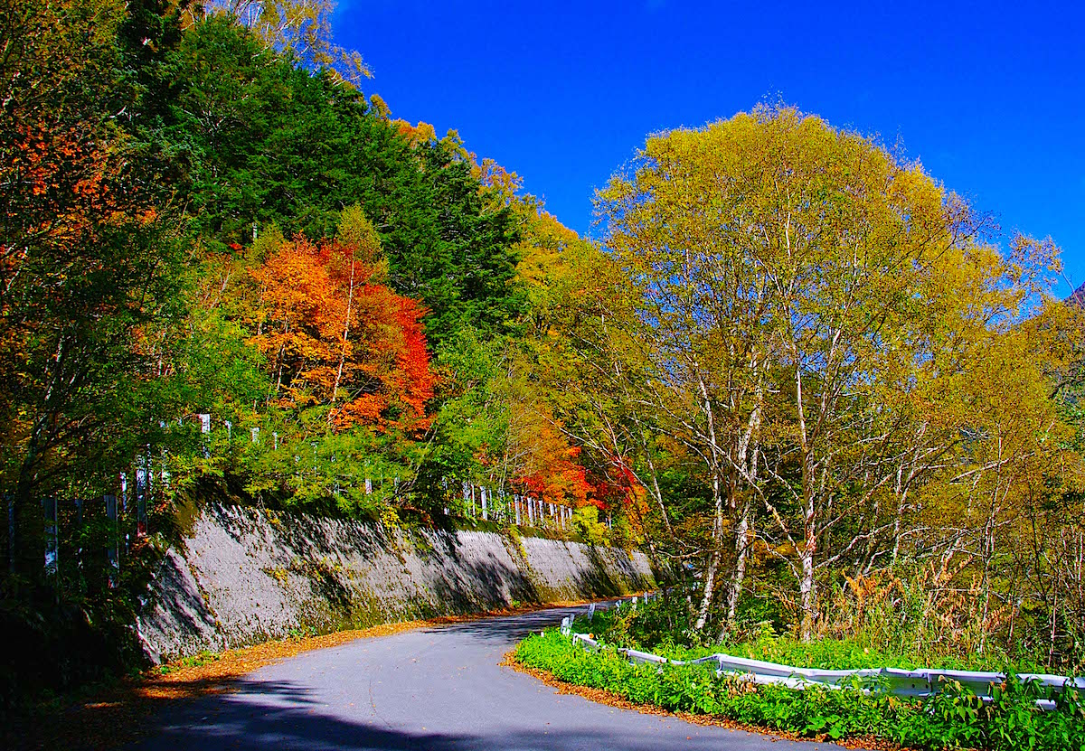 安房峠を越える国道158号旧道の紅葉はまさに絶景