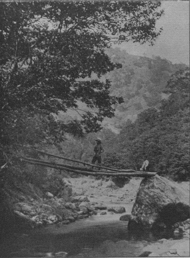 Pole-bridge at the foot of the Abo-toge/（安房峠麓の丸太橋／『日本アルプスの登山と探検』 