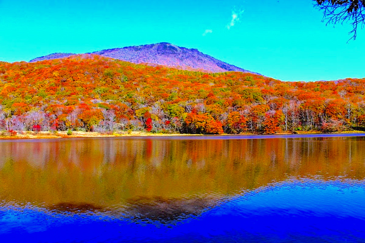 紅葉の古池はハイカーに絶大な人気があり、現在は黒姫山の登山コースにもなっています