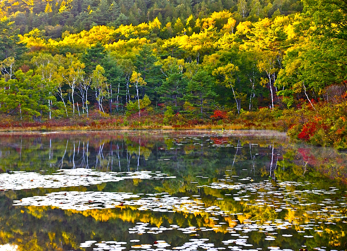 志賀高原一沼の紅葉