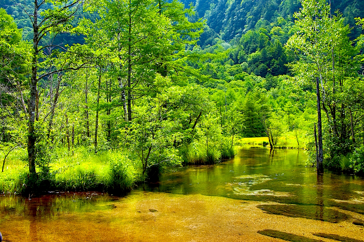 新緑の田代池はまさに爽快で絶景!
