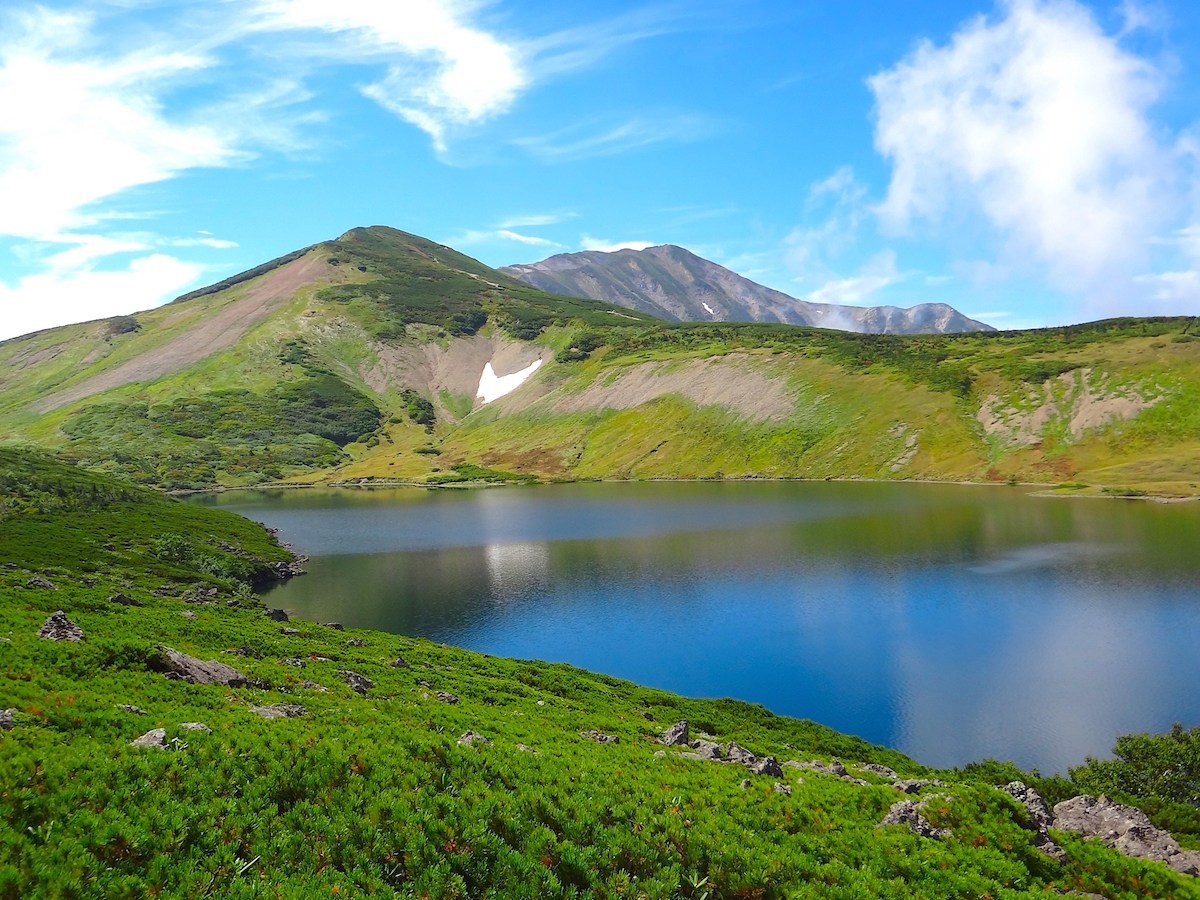 夏の終わりの白馬大池。高山帯で周囲にはハイマツが茂る