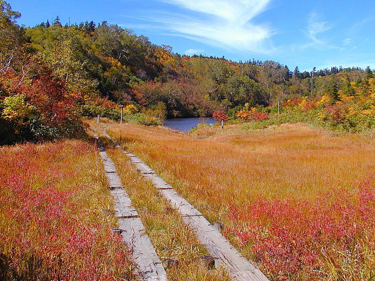 紅葉の風吹大池