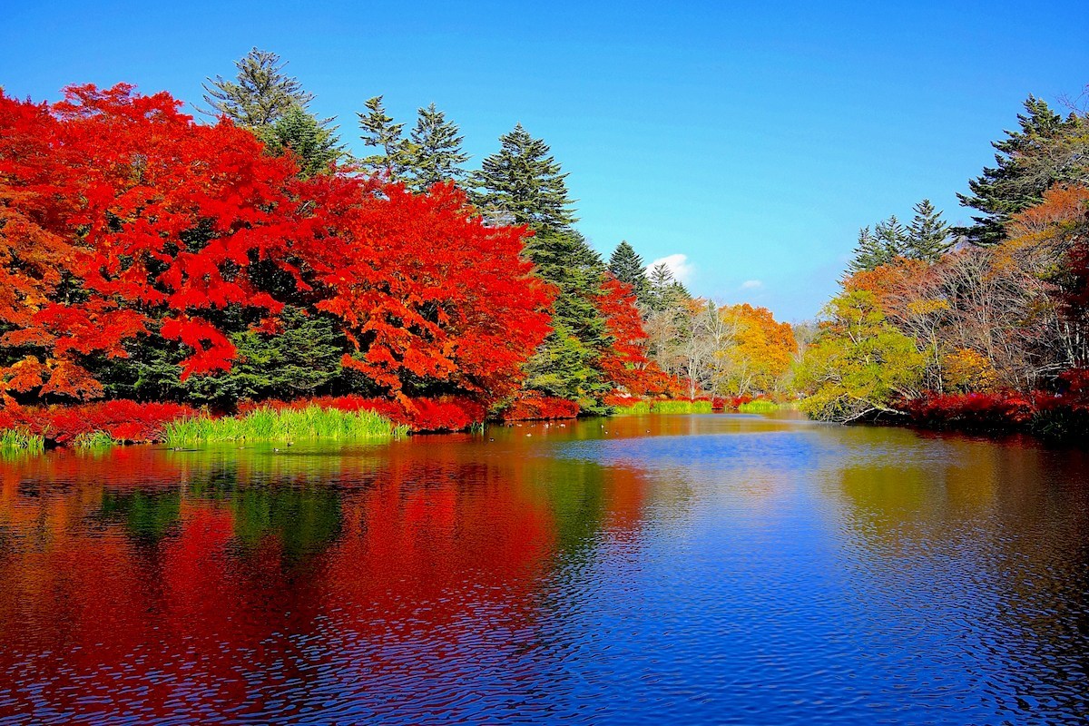 雲場池の見事な紅葉