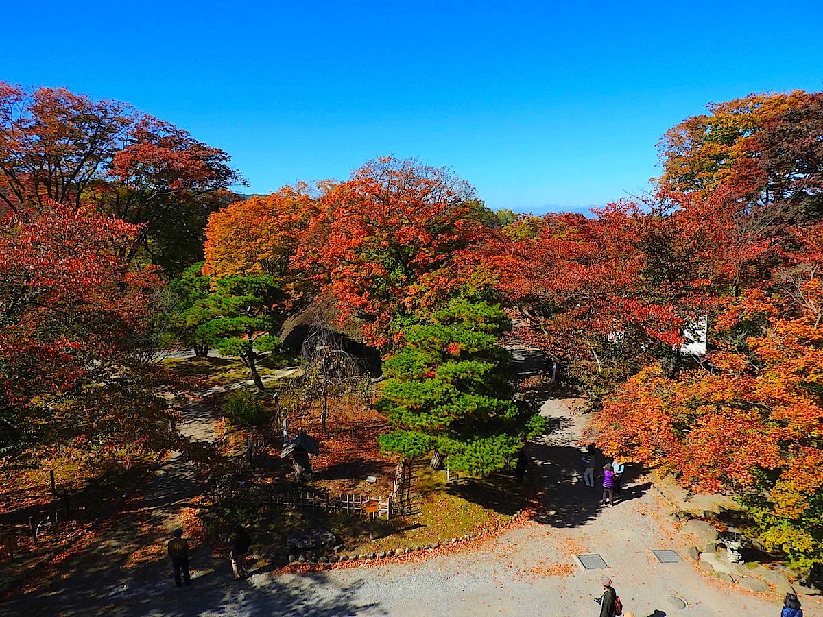 懐古園紅葉