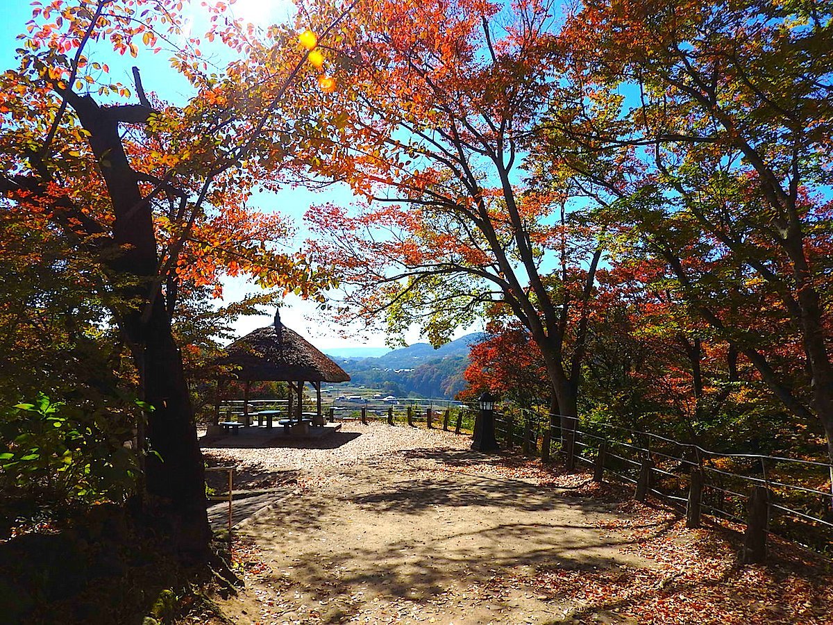 懐古園紅葉