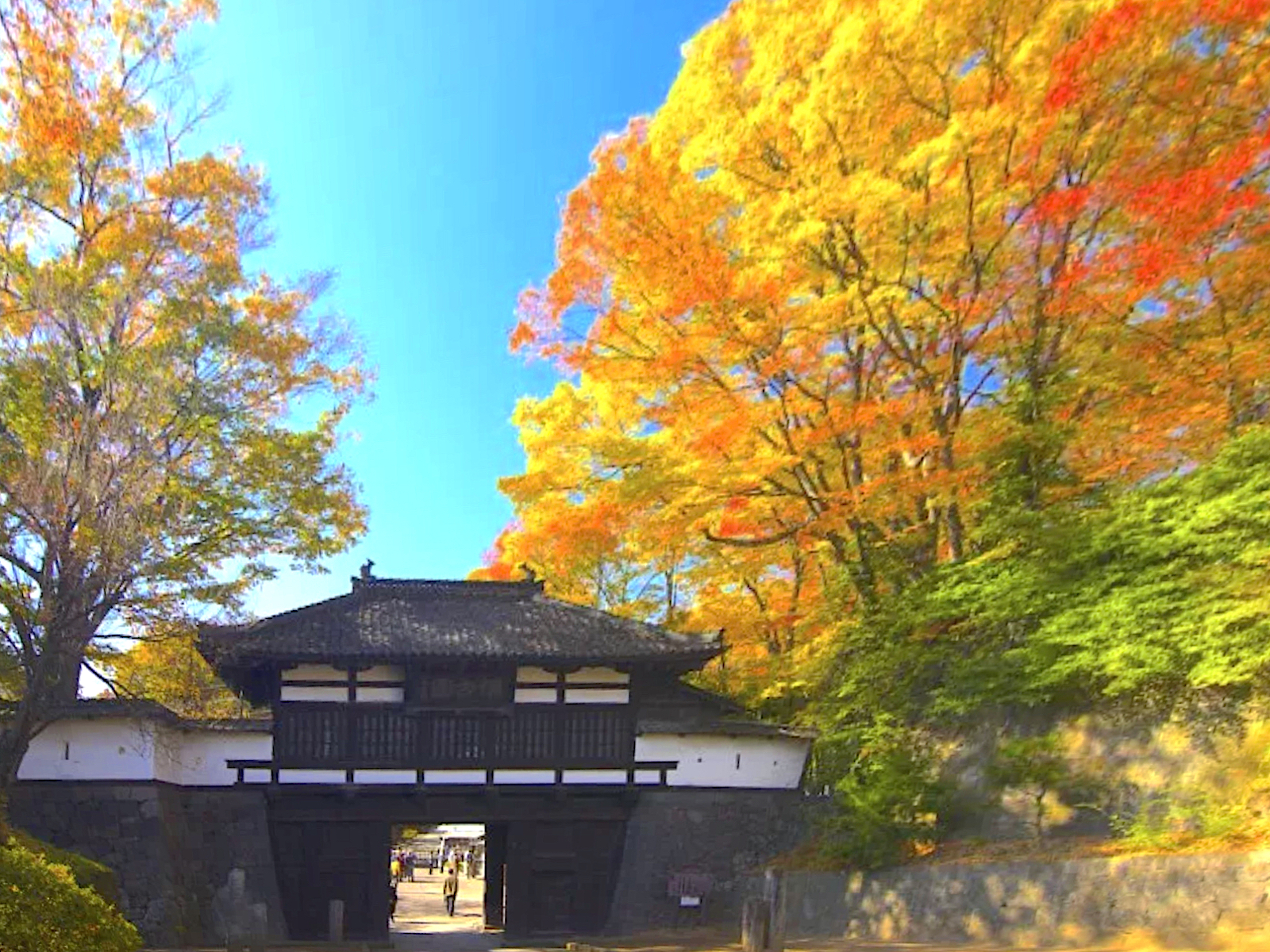 懐古園紅葉まつり