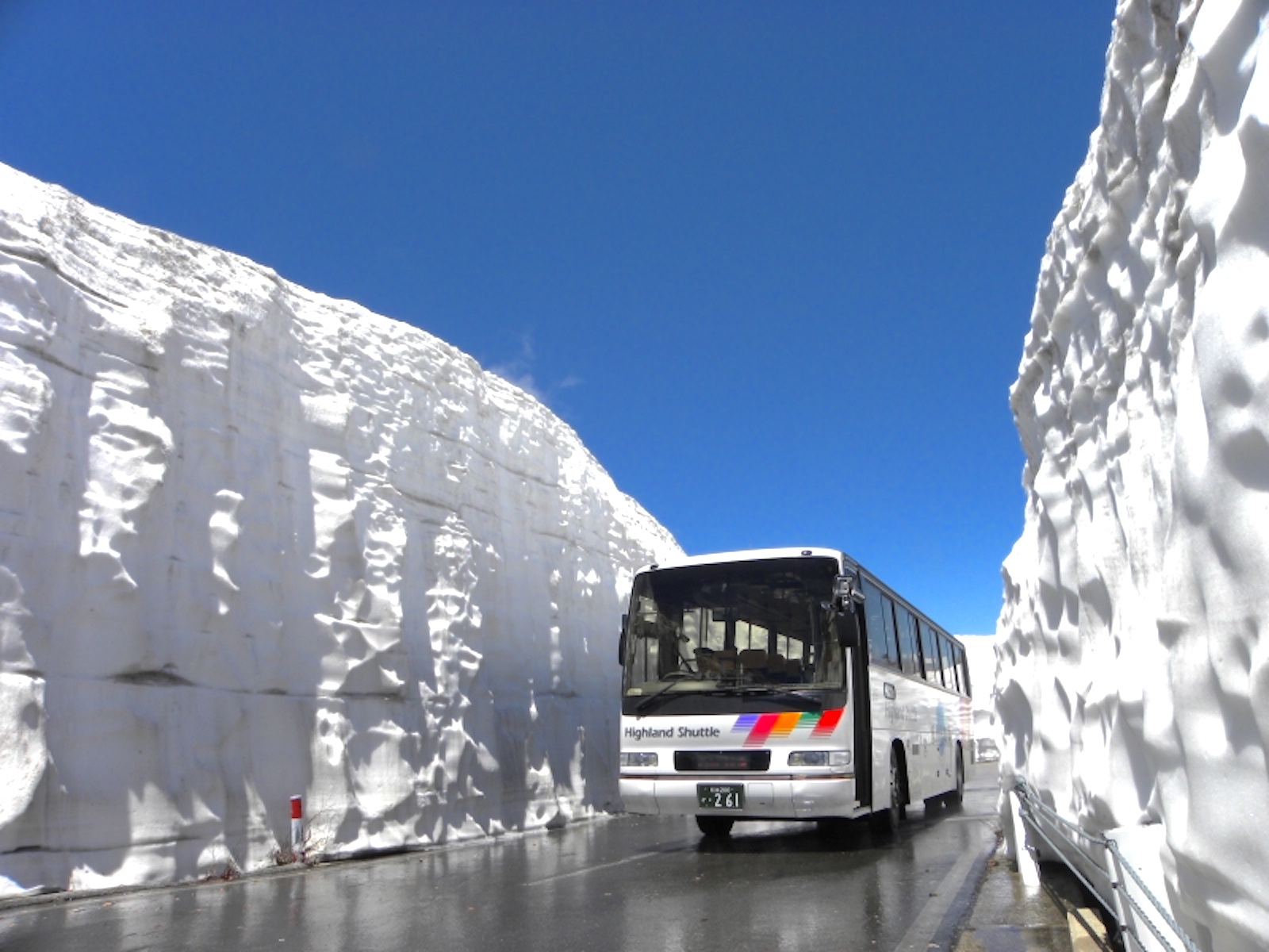 乗鞍岳春山バス、「雪の回廊」